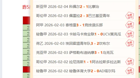 苏翊鸣讲述5号战服故事：展现家国情怀——央视体育频道报道